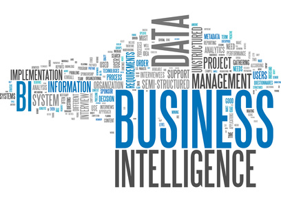 Business Intelligence software